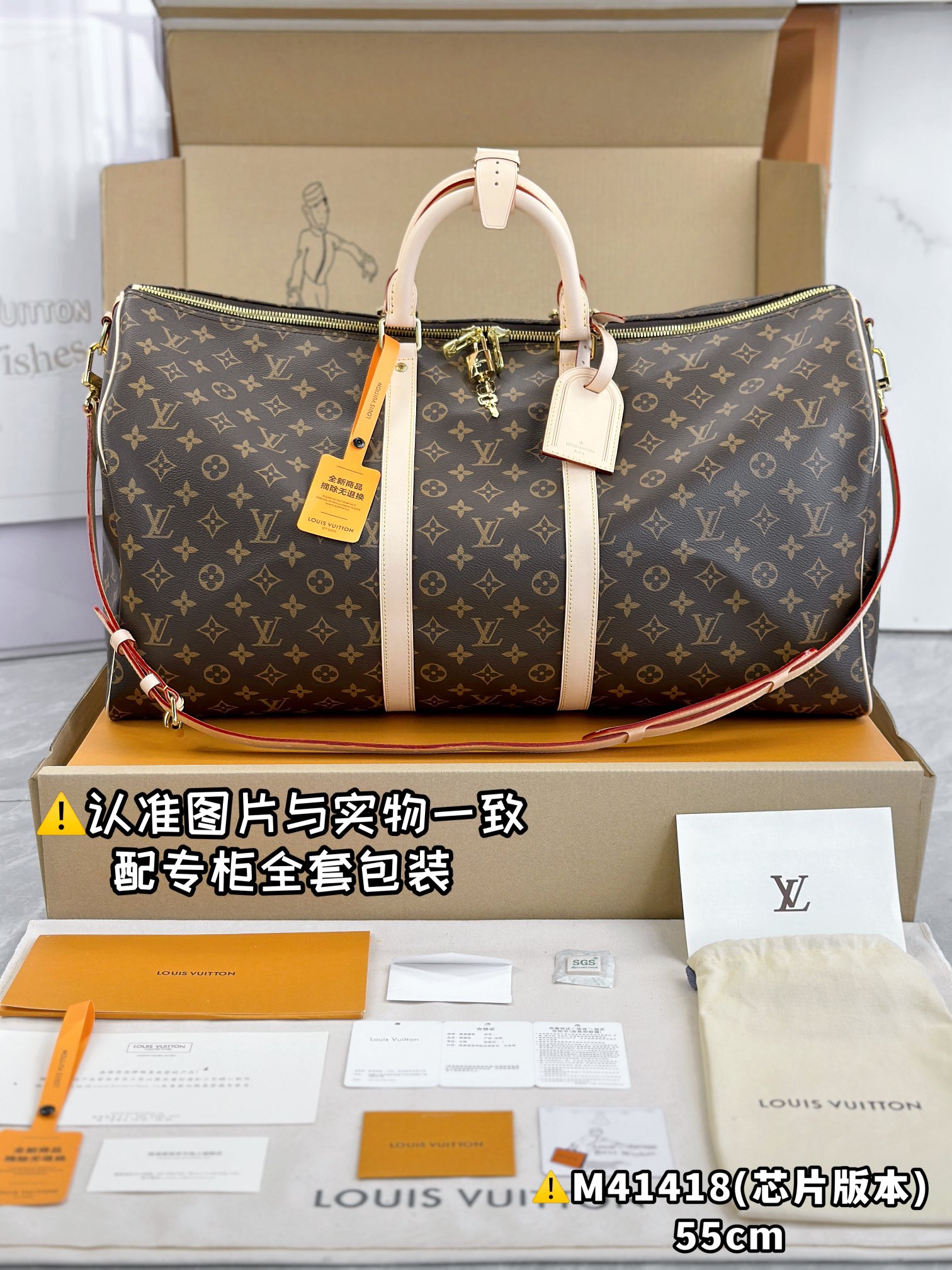 LV Travel Bags